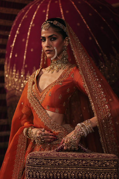 Charita Lehenga Set