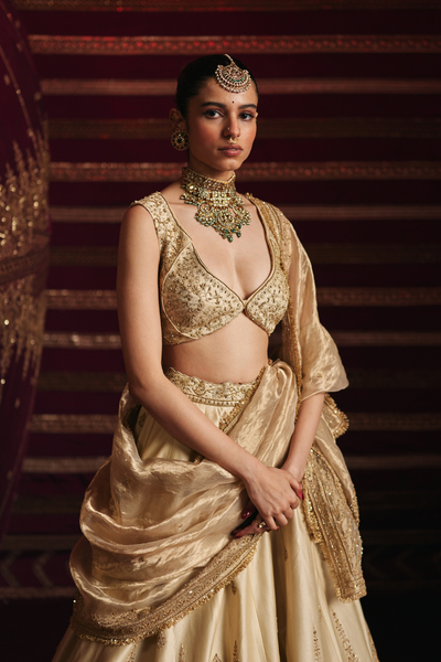 Adweta Lehenga Set