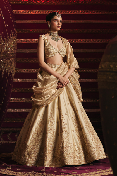 Adweta Lehenga Set