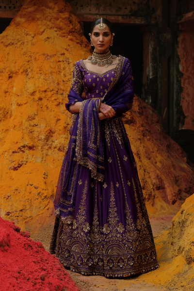 Aishani Lehenga Set