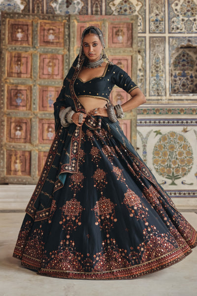 Vidya Ghagra Set