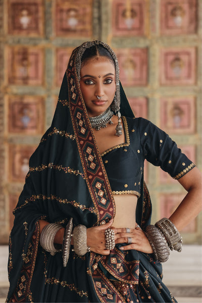 Vidya Ghagra Set