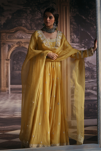 Dhruvika Anarkali Set