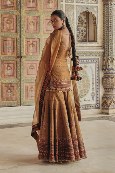 Ravina Sharara Set