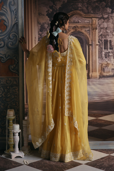Dhruvika Anarkali Set