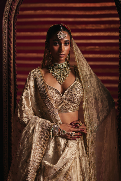 Bani Lehenga Set