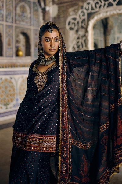 Dharvnini Sharara Set