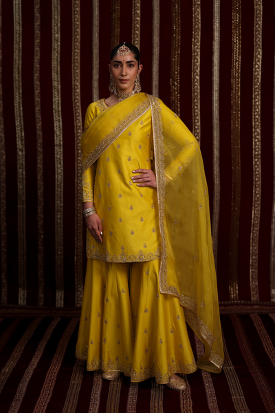 Aarohi Sharara Set