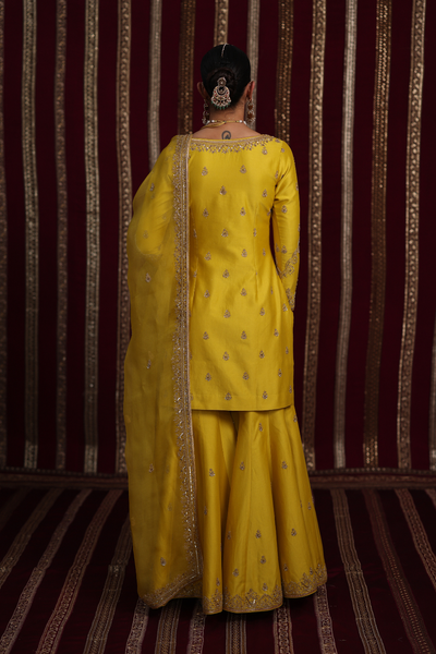 Aarohi Sharara Set