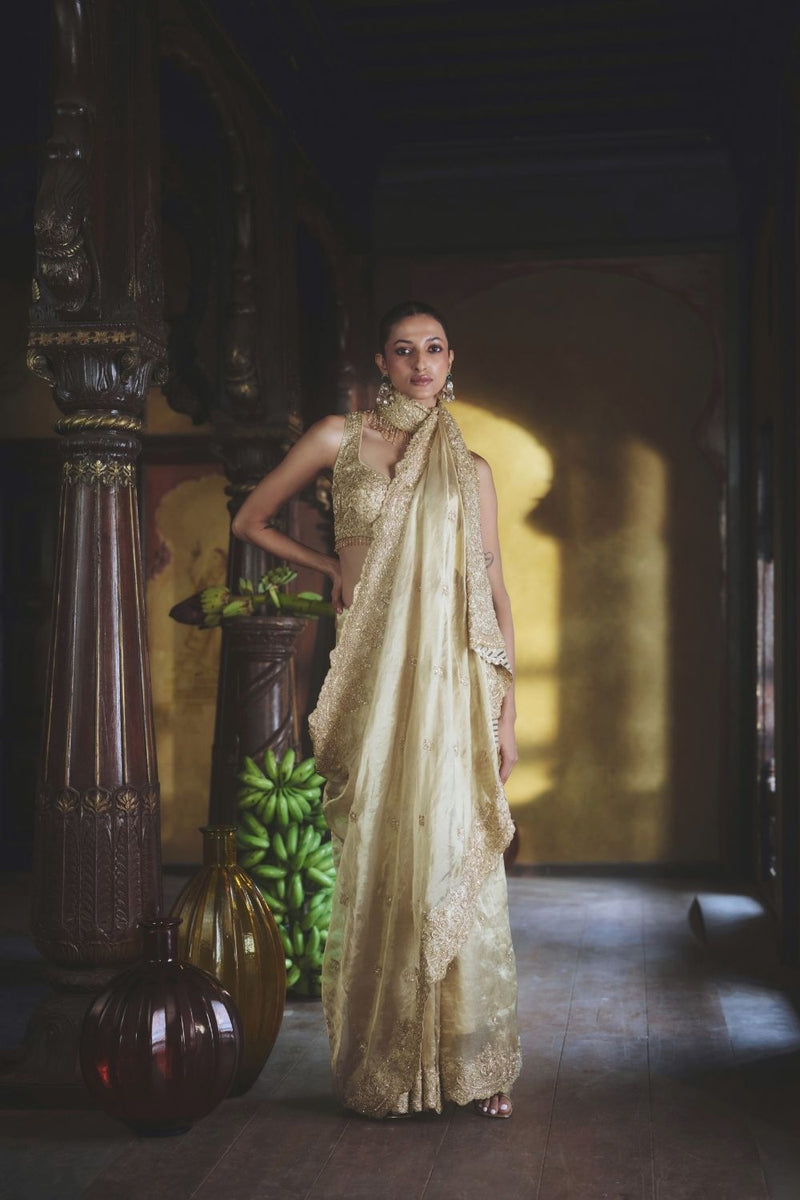 TARA SAREE