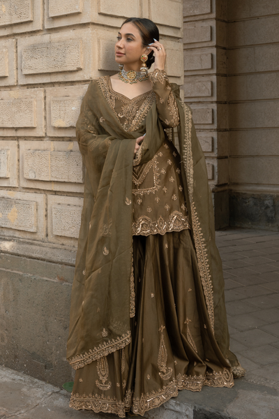Navneet Kaur in Sadhana Sharara Set