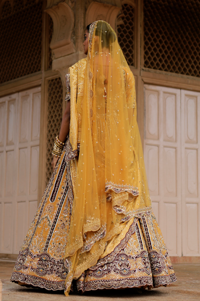 Sudevi Lehenga Set